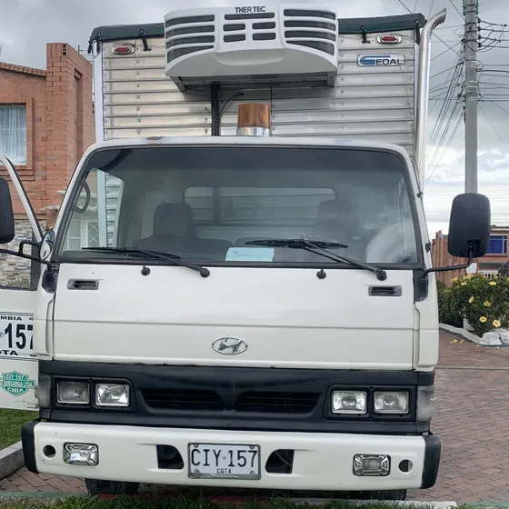 Camión Hyundai En Muy Buenas Condiciones, Único Dueño.
