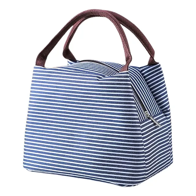Mini Bolso Termico Tipo Lanchera Lunchera Camping Almuerzo