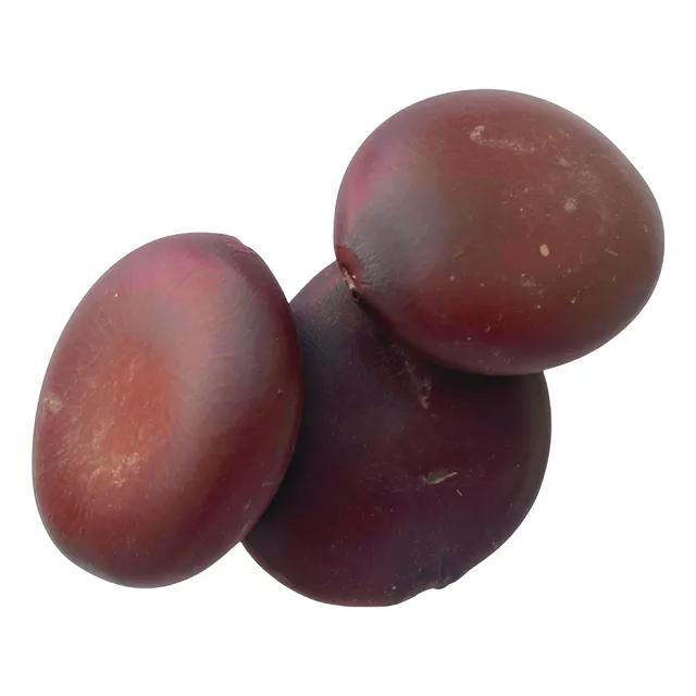 Fava De Xangô Alibe Semente Umbanda Candomblé