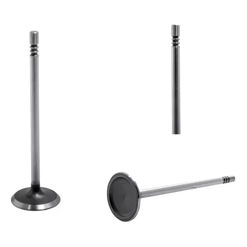Valvula Dacomsa Para Ford Mustang 4.6l 1996-2010 2 Piezas
