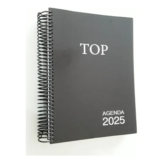 Agenda Executiva Diaria Top 2025 Estilo Tamanho A4 Preto