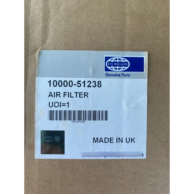 Filtro De Aire Fgwilson 10000-51238
