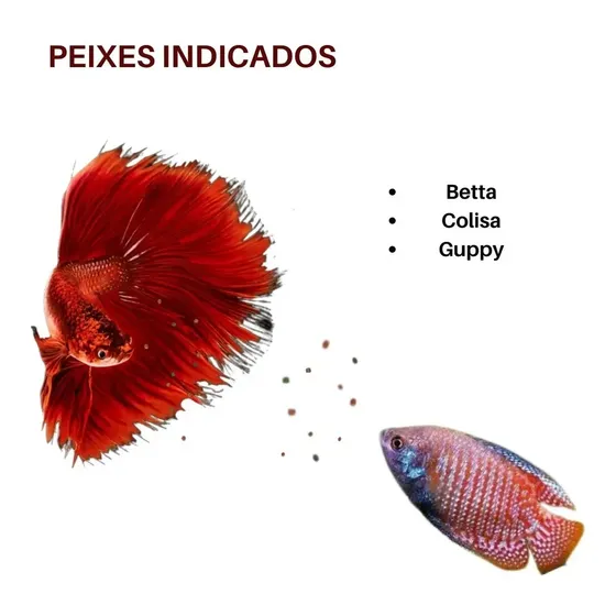 Imagem produto