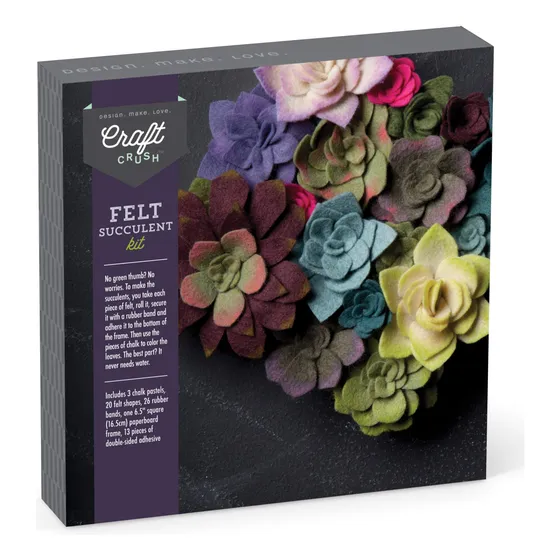 Kit De Manualidades Para Plantas Suculentas De Fieltro Craft