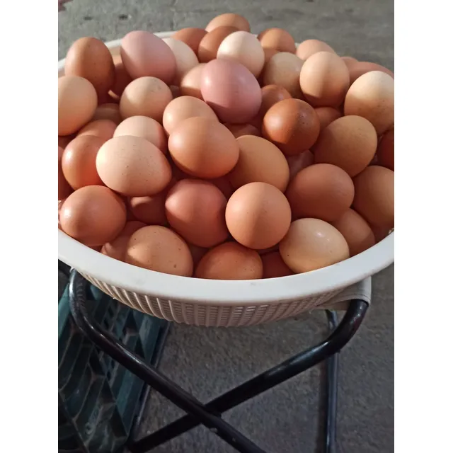 Huevos De Gallinas De Corral
