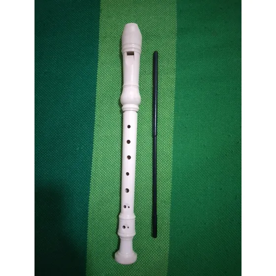 Flauta Instrumento Musical (rematando)