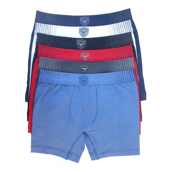 Cueca Boxer Sem Costura Bressan Microfibra Brasão 6 Unidades