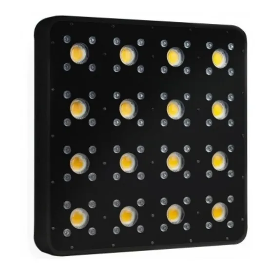 Apollo Evolution Pro 16 480w Delight