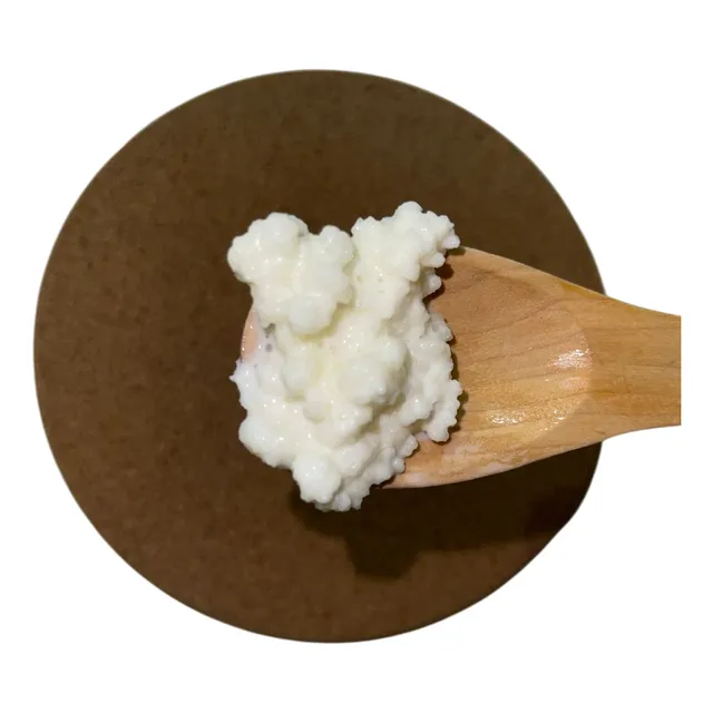 Búlgaros De Leche Para Kéfir | Probiótico Natural