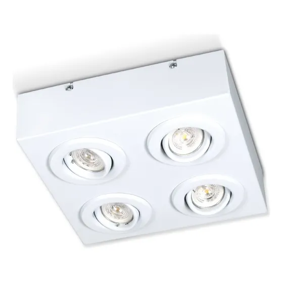 Plafon Aplique Cardanico 4 Luces Techo Living Moderno Gam