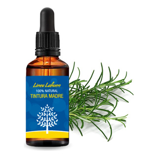 Tintura Madre Romero 50ml - Salvia Rosmarinus Tintura Madre Romero 50ml - Salvia Rosmarinus
