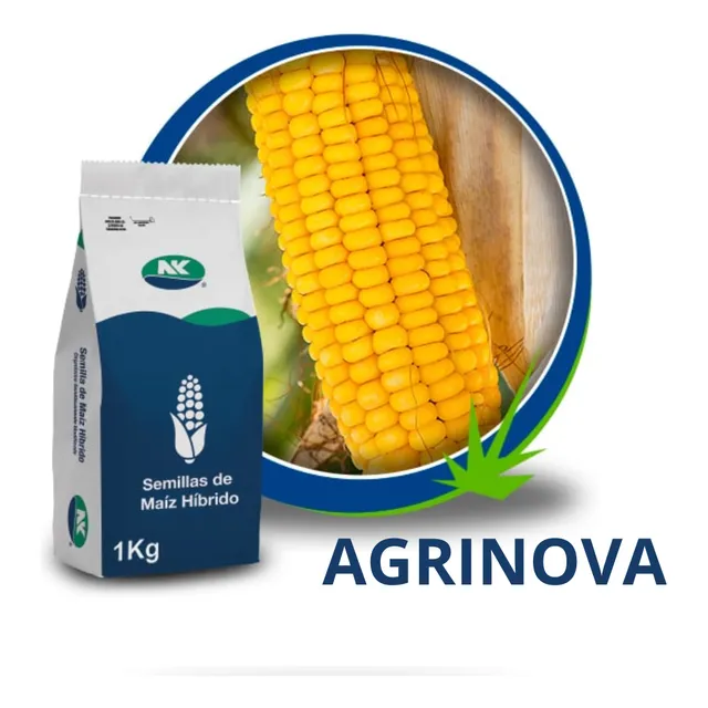 Híbrido De Maíz Amarillo Synko Nk Semillas Para Jojoto 1kg