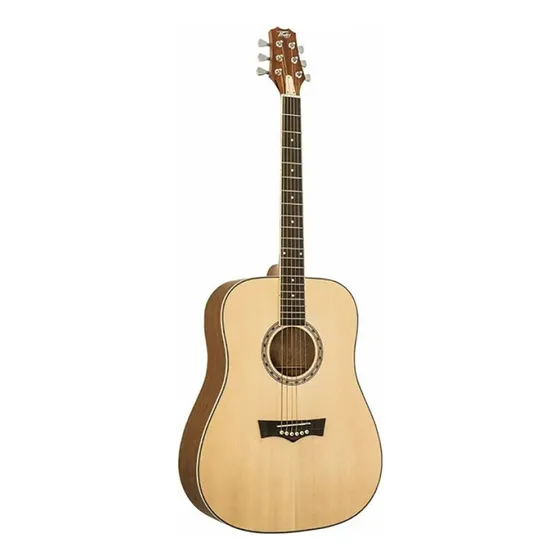 Peavey Dw-1 Acoustic Guitar With Case