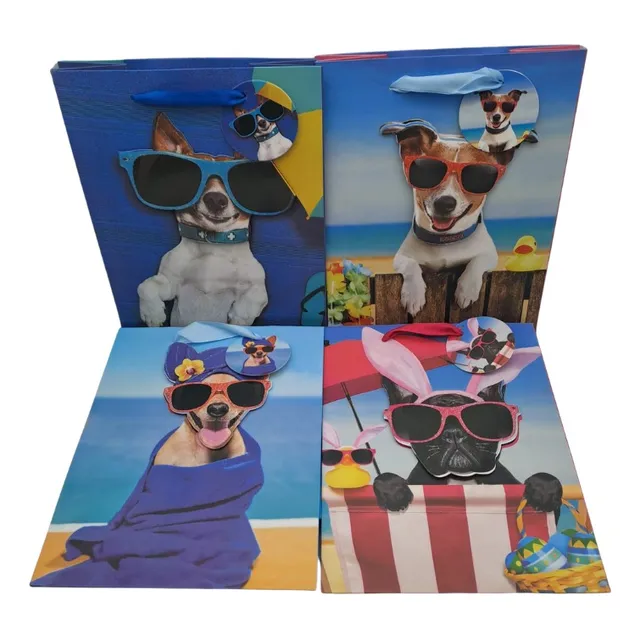 Bolsa De Regalo Medianas Diseños Surtidos Det De 12 Unds
