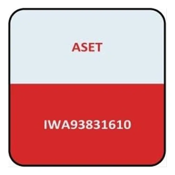 Anest Iwata W400 Set