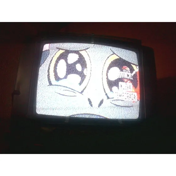Protector Pantalla Vidrio T.v Pequeño (14) Pulgadas Usado
