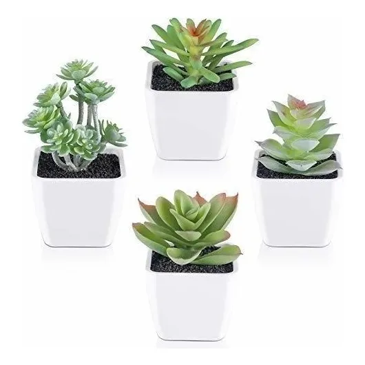Cocoboo - Juego De Suculentas Artificiales De 4 Mini Plantas