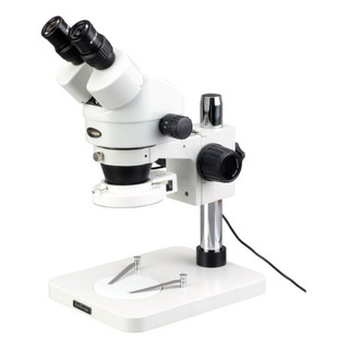 Microscopio Estéreo De Zoom Profesional Amscope Microscopio Estéreo De Zoom Profesional Amscope