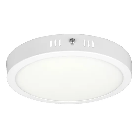 Panel Plafón Lámpara Luz Fría Led Techo Redondo 28cm 24w - 25000hs
