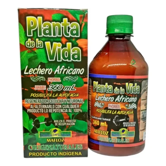 Lechero Africano  X 360 Ml