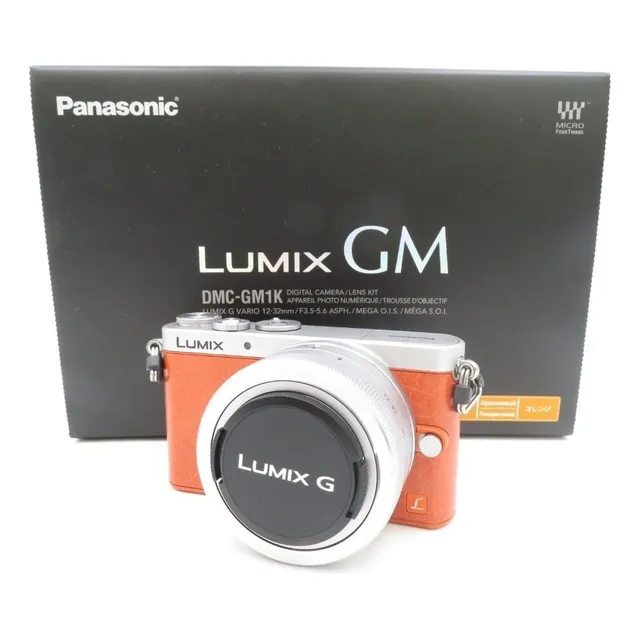 Lumix Dmc-gm1s Digital Camera Serr