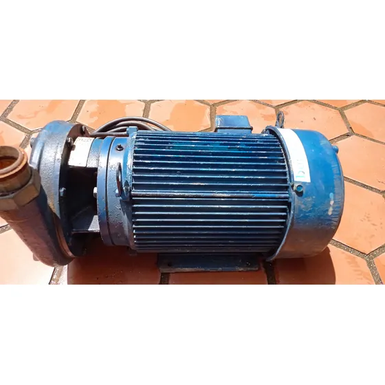 Bomba Centrífuga Trifásica De 10 Hp Motor Us Motors