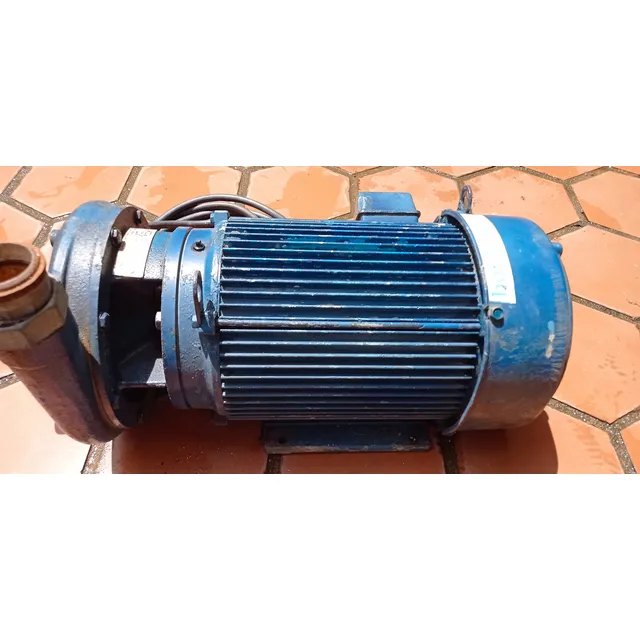 Bomba Centrífuga Trifásica De 10 Hp Motor Us Motors
