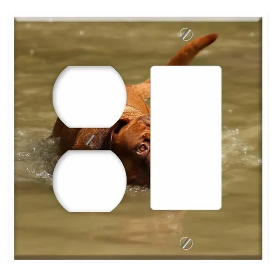 Cubierta Placa Pared Combinada Gfci 2 Ncin Agua Burdeo