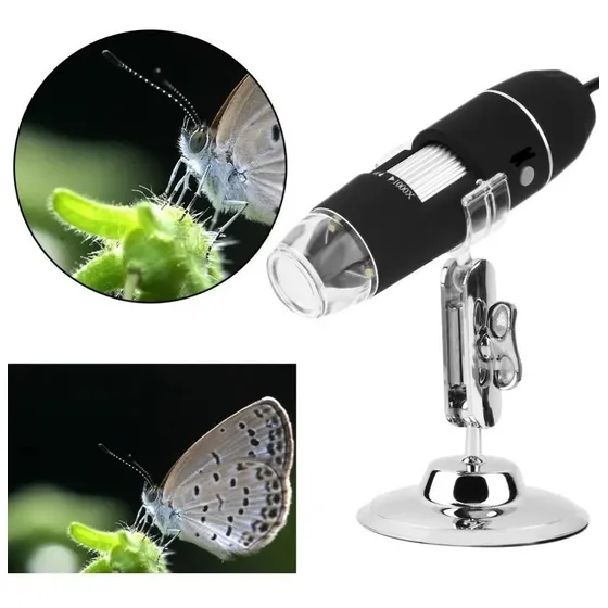 Microscopio Digital Usb 1000x Cámara Con 8 Leds Educativo Color Negro-260067 262236