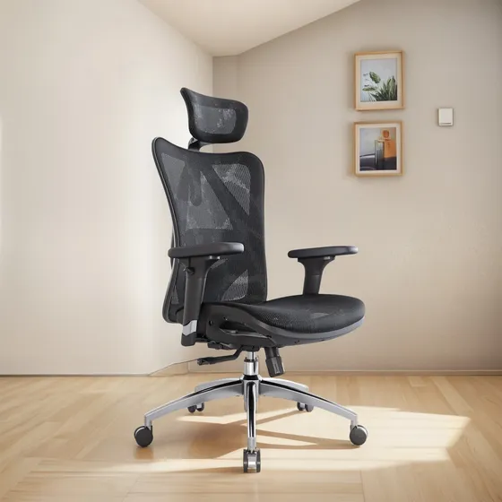 Sihoo M57 Silla De Oficina Ergonómica Con Reposabrazos De 3