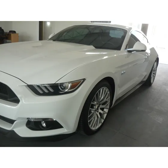 Ford Mustang 5.0 Gt 421cv