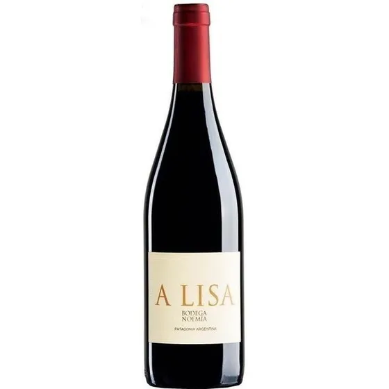 A Lisa Malbec By Bodega Noemia - Patagonia - Vino Organico