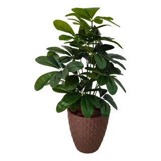 Planta Schefflera Artificial Folhas Grandes Realista + Vaso Planta Schefflera Artificial Folhas Grandes Realista + Vaso