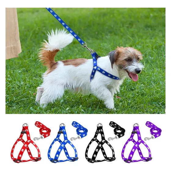 Correa Paseador Cachorros Xtreme Pets Ns336425