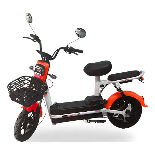 Sport Smart Scooter 500W (100kg)