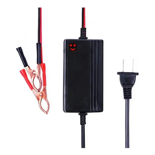 Cargador Para Bateria Carro Moto Lancha Nuevo