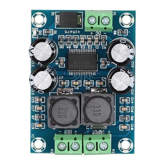 Placa Amplificadora Audio Digital Xh-m311 Mini Tpa3118