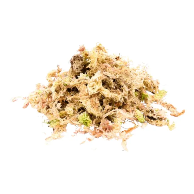 Musgo Sphagnum Blanco Sustrato Orquídea Plantas Carnívoras