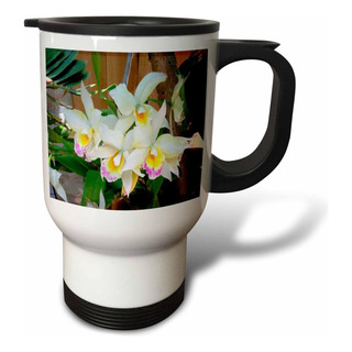 Taza De Viaje De Orquídea De 3drose, Acero Inoxidable De 14 Taza De Viaje De Orquídea De 3drose, Acero Inoxidable De 14