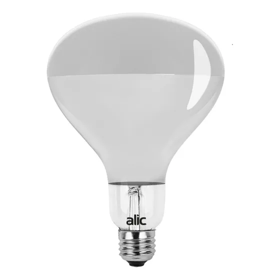 Lampara Gastronomica250w E27 Luz Y Calor 220v Ideal Comida Color de la luz Infrarrojo