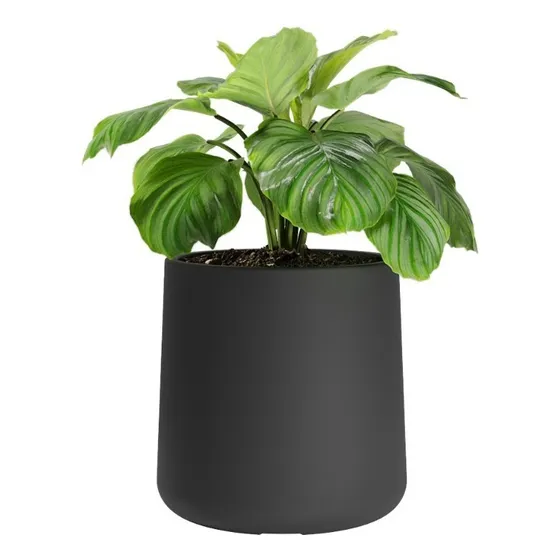 Maceta De Plástico Rotomoldeada Amalfi Modelo Gota N40 De 40 Cm De Alto Por 35 Cm De Diámetro En La Boca Y 43 Litros Color Negro