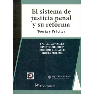 El Sistema De Justicia Penal Y Su Reforma. Teoría Y Práctica El Sistema De Justicia Penal Y Su Reforma. Teoría Y Práctica