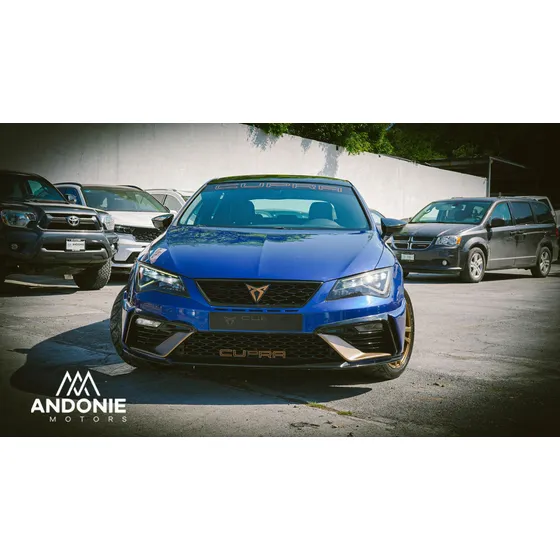 Seat Leon 2.0 Cupra 5p Dsg