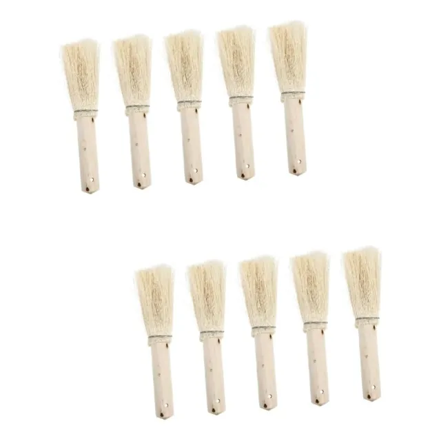 Escobilla Para Platos De Coco, 10 Piezas