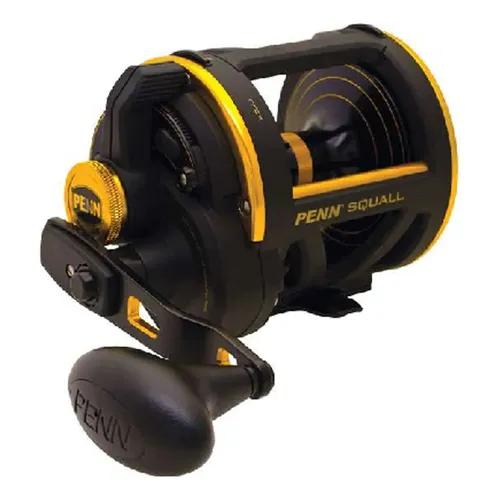 Carretilha Penn International 30 Visw 2 Velocidades Cor Dourado