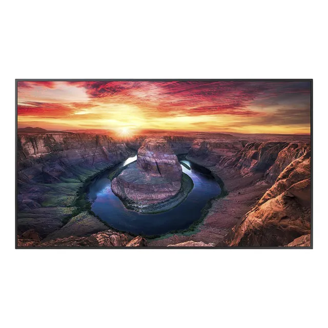 Pantalla Profesional Led De 65, Uhd 4k (3840x2160p), Entrada