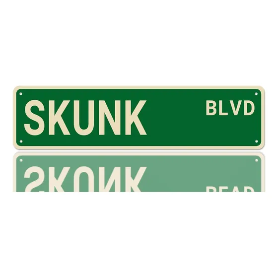 Skunk Blvd Letrero Calle Decoracion Amante Regalo Divertido