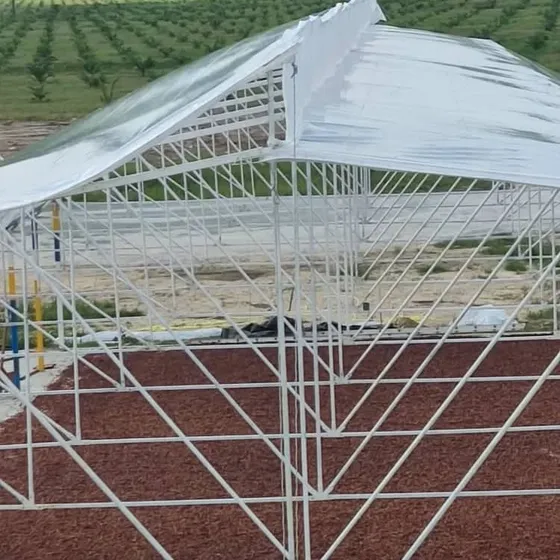 Construcción E Instalación Invernadero Casa Cultivo