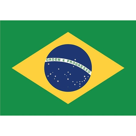 Bandera De Brasil Oficial 90 X 150 Cm Bandera De Brasil Oficial 90 X 150 Cm