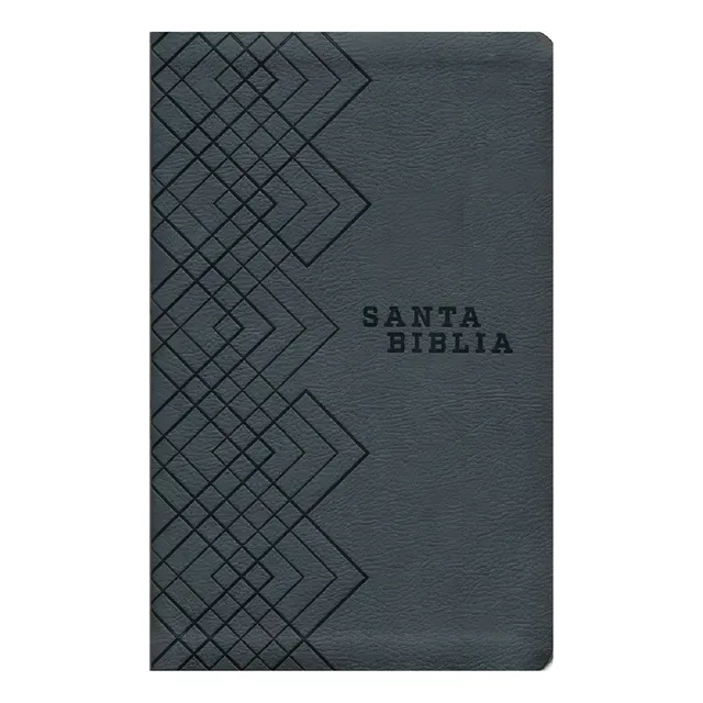 Biblia Nueva Traducción Viviente Imitación Cuero Agape Gris